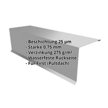 Pultabschluss | 110 x 100 x 2000 mm | 80° | Stahl 0,75 mm | 25 µm Polyester | 9007 - Graualuminium #2