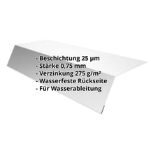 Traufenblech | 125 x 70 x 2000 mm | Stahl 0,75 mm | 25 µm Polyester | 7035 - Lichtgrau #2