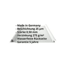 Stehfalzblech 33/500-LE | Dach | Stahl 0,50 mm | 25 µm Polyester | 7035 - Lichtgrau #2