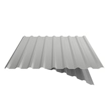 Trapezblech 20/1100 | Dach | Anti-Tropf 1000 g/m² | Stahl 0,63 mm | 25 µm Polyester | 9006 - Weißaluminium #7