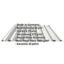 Trapezblech 20/1100 | Dach | Anti-Tropf 1000 g/m² | Stahl 0,75 mm | 60 µm Puramid | 9002 - Grauweiß #2