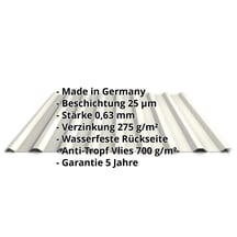 Trapezblech 20/1100 | Dach | Anti-Tropf 700 g/m² | Stahl 0,63 mm | 25 µm Polyester | 9010 - Reinweiß #2