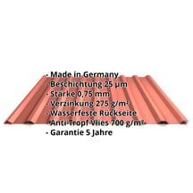 Trapezblech 20/1100 | Dach | Anti-Tropf 700 g/m² | Stahl 0,75 mm | 25 µm Polyester | 8004 - Kupferbraun #2