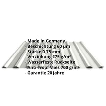 Trapezblech 20/1100 | Dach | Anti-Tropf 700 g/m² | Stahl 0,75 mm | 60 µm Puramid | 9002 - Grauweiß #2