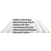 Trapezblech 20/1100 | Dach | Stahl 0,50 mm | 25 µm Polyester | 7035 - Lichtgrau #2