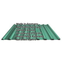 Trapezblech 20/1100 | Dach | Stahl 0,63 mm | 25 µm Polyester | 6020 - Chromoxidgrün #2