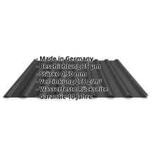 Trapezblech 20/1100 | Dach | Stahl 0,50 mm | 35 µm Mattpolyester | 33 - Schwarz #2