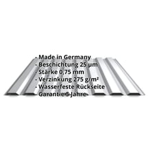 Trapezblech 20/1100 | Wand | Aktionsblech | Stahl 0,75 mm | 25 µm Polyester | 9006 - Weißaluminium #2