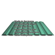 Trapezblech 20/1100 | Wand | Stahl 0,50 mm | 25 µm Polyester | 6020 - Chromoxidgrün #2