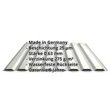 Trapezblech 20/1100 | Wand | Stahl 0,63 mm | 25 µm Polyester | 9002 - Grauweiß #2