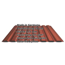 Trapezblech 20/1100 | Wand | Stahl 0,75 mm | 25 µm Polyester | 8012 - Rotbraun #2