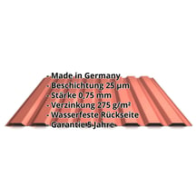 Trapezblech 20/1100 | Wand | Stahl 0,75 mm | 25 µm Polyester | 8004 - Kupferbraun #2