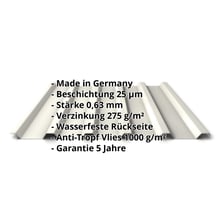 Trapezblech 35/207 | Dach | Anti-Tropf 1000 g/m² | Stahl 0,63 mm | 25 µm Polyester | 9010 - Reinweiß #2