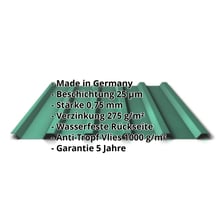 Trapezblech 35/207 | Dach | Anti-Tropf 1000 g/m² | Stahl 0,75 mm | 25 µm Polyester | 6020 - Chromoxidgrün #2