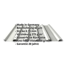 Trapezblech 35/207 | Dach | Anti-Tropf 1000 g/m² | Stahl 0,75 mm | 60 µm Puramid | 9002 - Grauweiß #2