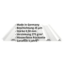 Trapezblech 35/207 | Dach | Stahl 0,50 mm | 25 µm Polyester | 7035 - Lichtgrau #2
