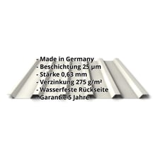 Trapezblech 35/207 | Dach | Stahl 0,63 mm | 25 µm Polyester | 9010 - Reinweiß #2