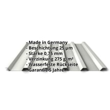 Trapezblech 35/207 | Dach | Stahl 0,75 mm | 25 µm Polyester | 9002 - Grauweiß #2