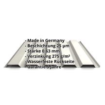 Trapezblech 35/207 | Wand | Stahl 0,63 mm | 25 µm Polyester | 9010 - Reinweiß #2