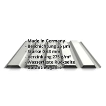 Trapezblech 35/207 | Wand | Stahl 0,63 mm | 25 µm Polyester | 9002 - Grauweiß #2