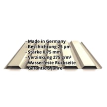 Trapezblech 35/207 | Wand | Stahl 0,75 mm | 25 µm Polyester | 1015 - Hellelfenbein #2
