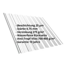 Trapezblech T18DR | Dach | Anti-Tropf 700 g/m² | Stahl 0,75 mm | 25 µm Polyester | 7035 - Lichtgrau #2