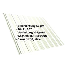 Trapezblech T18DR | Dach | Stahl 0,75 mm | 50 µm PURLAK® | 9002 - Grauweiß #2