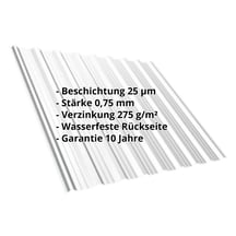 Trapezblech T18DR | Dach | Stahl 0,75 mm | 25 µm Polyester | 7035 - Lichtgrau #2