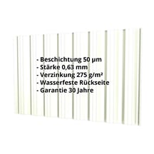 Trapezblech T18DR | Wand | Stahl 0,63 mm | 50 µm PURLAK® | 9002 - Grauweiß #2