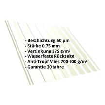 Trapezblech T20M | Dach | Anti-Tropf 700 g/m² | Stahl 0,75 mm | 50 µm PURLAK® | 9002 - Grauweiß #2