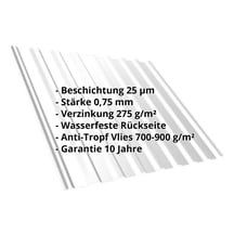 Trapezblech T20M | Dach | Anti-Tropf 700 g/m² | Stahl 0,75 mm | 25 µm Polyester | 7035 - Lichtgrau #2