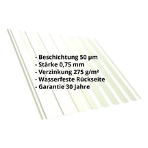 Trapezblech T20M | Dach | Stahl 0,75 mm | 50 µm PURLAK® | 9002 - Grauweiß #2