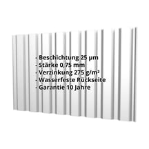 Trapezblech T20M | Wand | Stahl 0,75 mm | 25 µm Polyester | 7035 - Lichtgrau #2