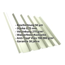 Trapezblech T35/207M | Dach | Anti-Tropf 700 g/m² | Stahl 0,75 mm | 50 µm PURLAK® | 9002 - Grauweiß #2