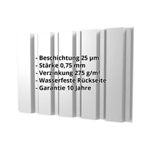 Trapezblech T35/207M | Wand | Stahl 0,75 mm | 25 µm Polyester | 7035 - Lichtgrau #2