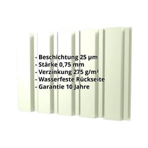 Trapezblech T35/207M | Wand | Stahl 0,75 mm | 25 µm Polyester | 9002 - Grauweiß #2