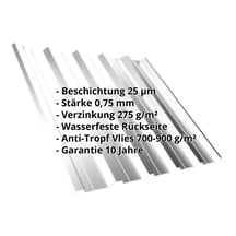 Trapezblech T35DR | Dach | Anti-Tropf 700 g/m² | Stahl 0,75 mm | 25 µm Polyester | 7035 - Lichtgrau #2