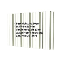 Trapezblech T35DR | Wand | Stahl 0,63 mm | 50 µm PURLAK® | 9002 - Grauweiß #2