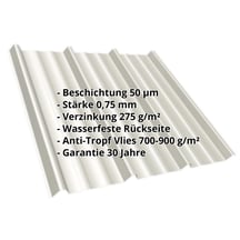 Trapezblech T45/333M | Dach | Anti-Tropf 700 g/m² | Stahl 0,75 mm | 50 µm PURLAK® | 9002 - Grauweiß #2