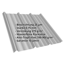 Trapezblech T45/333M | Dach | Anti-Tropf 700 g/m² | Stahl 0,75 mm | 25 µm Polyester | 9007 - Graualuminium #2