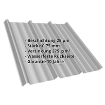 Trapezblech T45/333MD | Dach | Stahl 0,75 mm | 25 µm Polyester | 9007 - Graualuminium #2