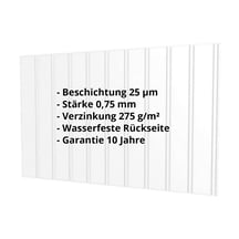 Trapezblech T7M | Wand | Stahl 0,75 mm | 25 µm Polyester | 7035 - Lichtgrau #2