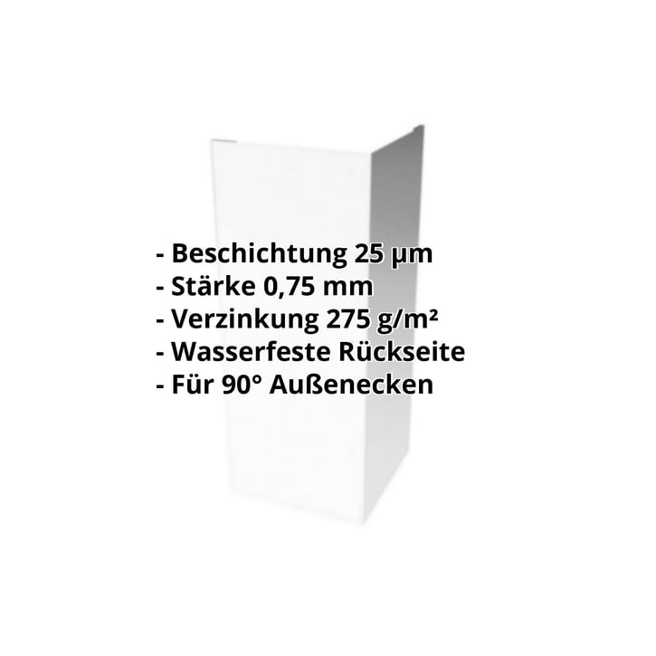 Außenecke | 100 x 100 x 2000 mm | Stahl 0,75 mm | 25 µm Polyester | 7035 - Lichtgrau #2