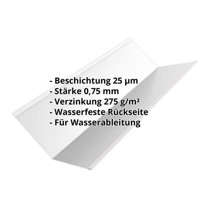 Kehlblech | 195 x 195 x 2000 mm | Stahl 0,75 mm | 25 µm Polyester | 7035 - Lichtgrau #2