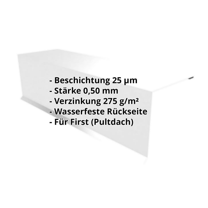 Pultabschluss | 110 x 100 x 2000 mm | 80° | Stahl 0,50 mm | 25 µm Polyester | 7035 - Lichtgrau #2