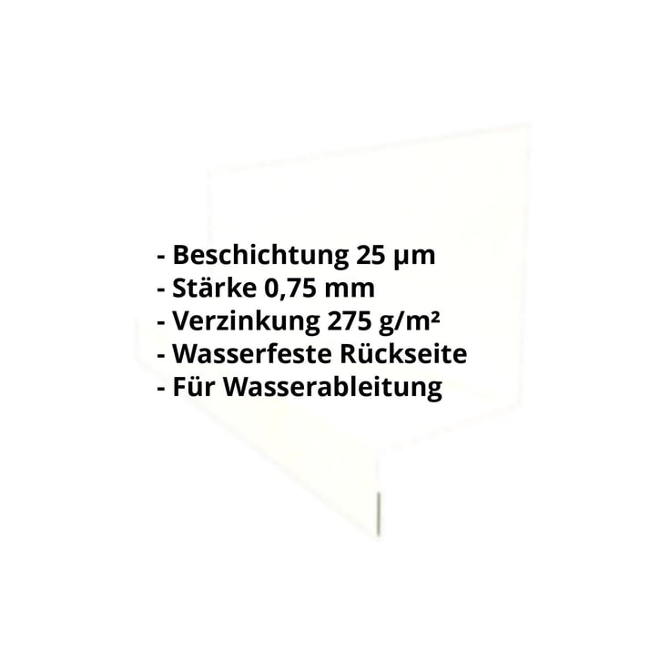 Sockelleiste | 40 x 24 x 25 x 2000 mm | Stahl 0,75 mm | 25 µm Polyester | 9002 - Grauweiß #2