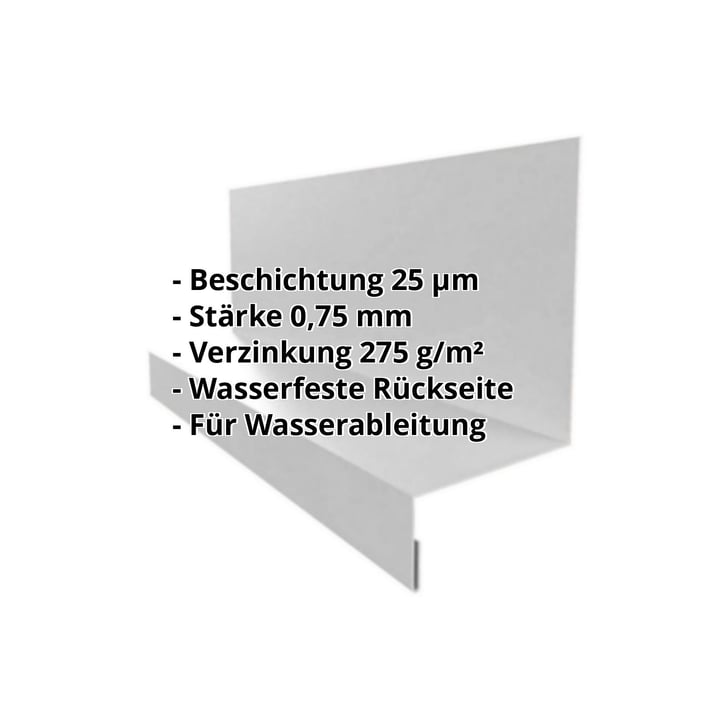 Sockelleiste | 40 x 24 x 25 x 2000 mm | Stahl 0,75 mm | 25 µm Polyester | 9006 - Weißaluminium #2