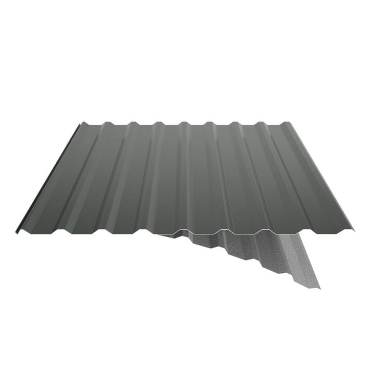 Trapezblech 20/1100 | Dach | Anti-Tropf 1000 g/m² | Stahl 0,50 mm | 25 µm Polyester | 6020 - Chromoxidgrün #6