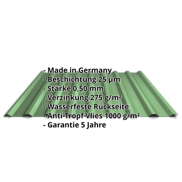Trapezblech 20/1100 | Dach | Anti-Tropf 1000 g/m² | Stahl 0,50 mm | 25 µm Polyester | 6011 - Resedagrün #2