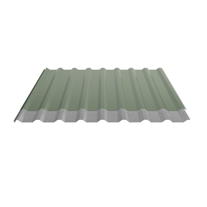 Trapezblech 20/1100 | Dach | Anti-Tropf 1000 g/m² | Stahl 0,50 mm | 25 µm Polyester | 6011 - Resedagrün #5